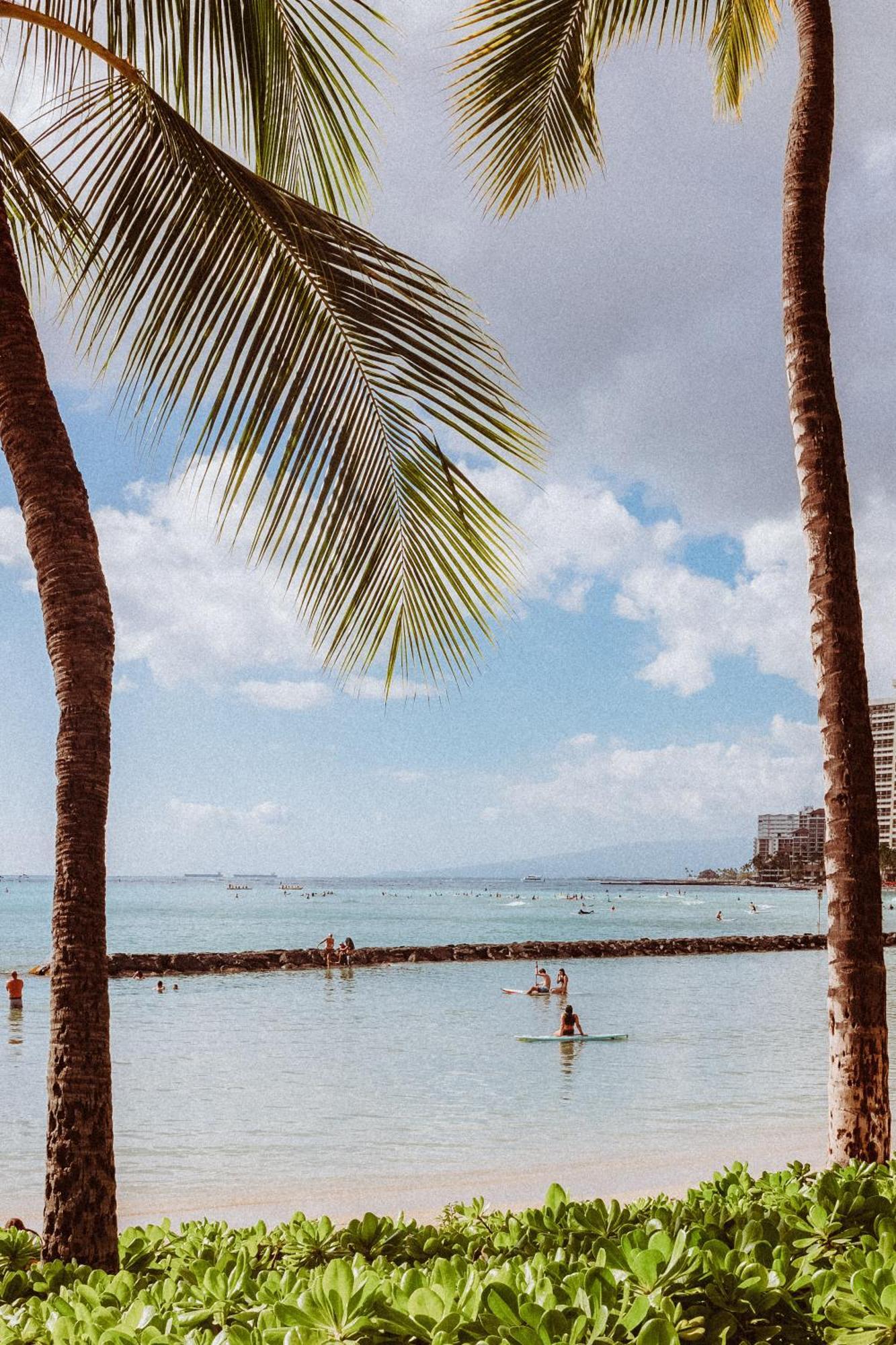 Royal Grove Waikiki Hotel Honolulu Luaran gambar